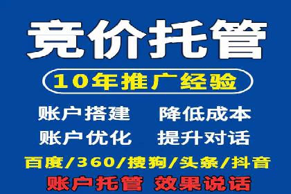 百度竞价广告运营全解析：成功案例揭秘